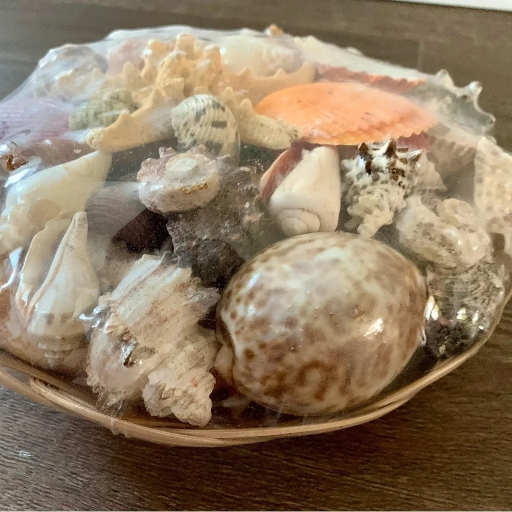Beach Basket assorted sea Shells